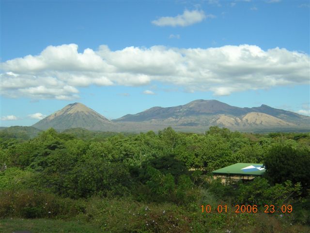leon viejo 2